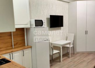 Квартира на продажу студия, 24.9 м2, Сочи, Санаторная улица, 46, микрорайон Новый Сочи