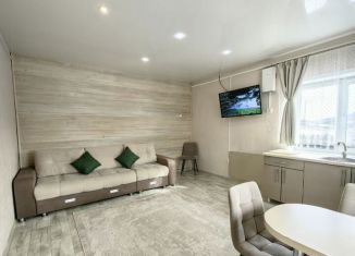 Сдается дом, 96 м2, Кемеровская область, Лесная улица, 24/1