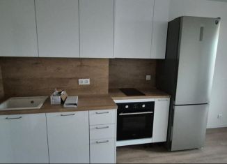 Сдаю в аренду квартиру студию, 21 м2, Колпино, Загородная улица, 45к4