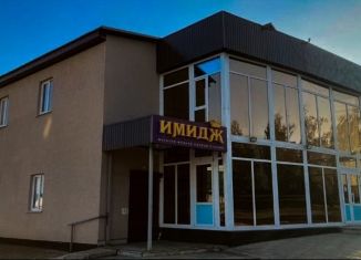 Продаю помещение свободного назначения, 266 м2, Благовещенск, улица Демьяна Бедного, 57А