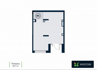 Помещение свободного назначения в аренду, 45.7 м2, Тюмень, улица Новосёлов, 90