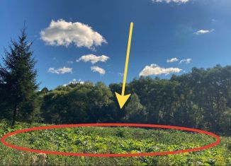 Продажа земельного участка, 8 сот., деревня Васькино