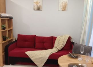 Квартира на продажу студия, 16.7 м2, Котельники, микрорайон Белая Дача, 11