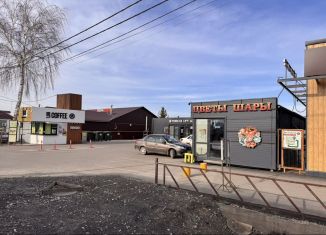 Торговая площадь на продажу, 220 м2, Татарстан, улица Державина, 27