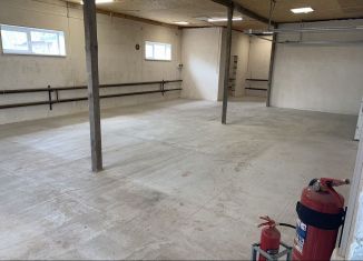 Сдается в аренду производство, 123 м2, Рязанская область, Промышленная улица, с1