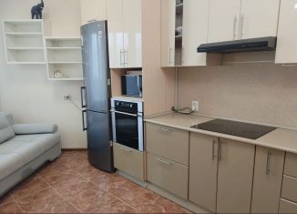 Сдается в аренду 2-комнатная квартира, 54 м2, Люберцы, Вертолётная улица, 46, ЖК Люберцы 2017