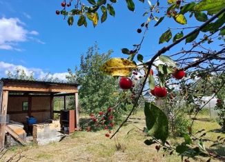Продам дачу, 30 м2, Челябинская область