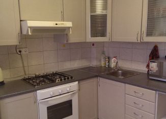 Сдам 2-комнатную квартиру, 48 м2, Екатеринбург, улица Мичурина, 209, метро Геологическая