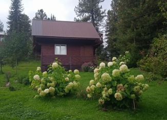 Дом в аренду, 40 м2, село Иогач, Центральная улица, 2