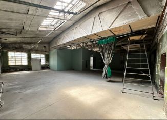 Помещение свободного назначения в аренду, 250 м2, Санкт-Петербург, Матисов переулок, 4