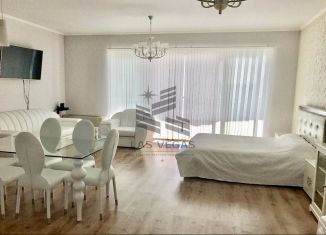 Однокомнатная квартира в аренду, 70 м2, Сочи, Курортный проспект, 92/5, микрорайон Бытха