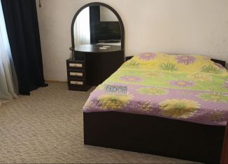 Дом в аренду, 50 м2, село Мысхако, Садовая улица, 12А