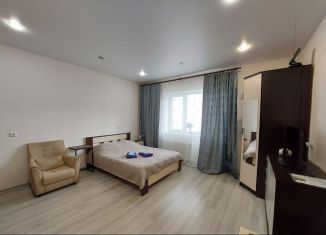 Сдача в аренду квартиры студии, 30 м2, Кингисепп, улица Воровского, 50к2