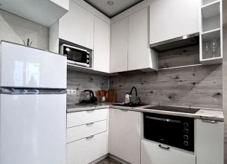Аренда 1-ком. квартиры, 32 м2, Сыктывкар, улица Морозова, 105