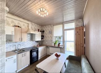 Продажа однокомнатной квартиры, 32 м2, Санкт-Петербург, проспект Александровской Фермы, 8, метро Пролетарская