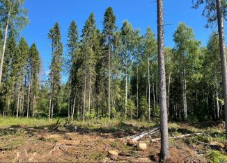 Участок на продажу, 11 сот., посёлок Новая Вилга, Парковая улица