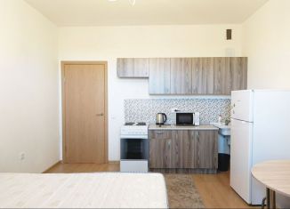 Квартира в аренду студия, 35 м2, деревня Новое Девяткино, Капральская улица, ЖК Озёрный