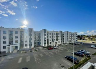 Однокомнатная квартира на продажу, 29.5 м2, деревня Брёхово, микрорайон Митино Дальнее, 9