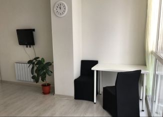 Продам квартиру студию, 20.5 м2, Екатеринбург, улица Крестинского, 35, Чкаловский район