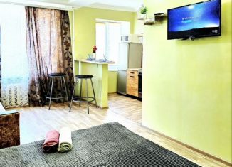 Сдача в аренду 1-комнатной квартиры, 25 м2, Орловская область, улица Левый Берег реки Оки