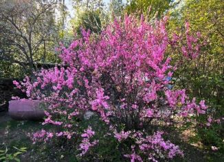 Продаю земельный участок, 9.5 сот., Благовещенск