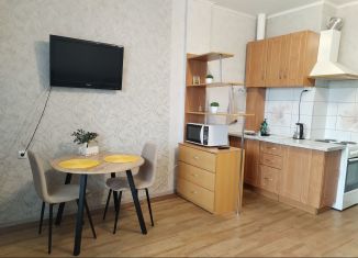 Сдаю квартиру студию, 31 м2, Новосибирск, микрорайон Горский, 8, Ленинский район