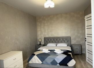 Аренда 3-ком. квартиры, 62 м2, Ростов-на-Дону, улица Ерёменко, 114/1с1, ЖК Пятый Элемент