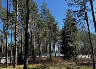 Продаю земельный участок, 13 сот., посёлок Репино, Луговая улица, 7