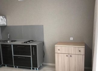 Квартира в аренду студия, 26 м2, Республика Башкортостан, улица Тукаева, 17А