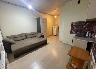 Сдам в аренду квартиру студию, 30 м2, деревня Афонино, Академическая улица, 12