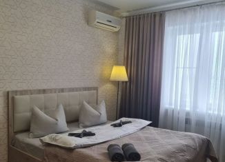 Сдача в аренду 1-комнатной квартиры, 44 м2, Пензенская область, Тернопольская улица, 18