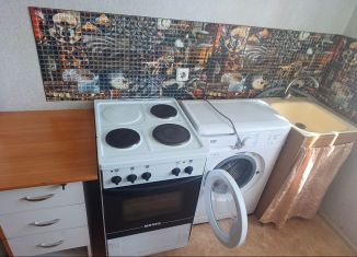 Продажа однокомнатной квартиры, 29 м2, Новосибирская область, жилмассив Ясный, 28