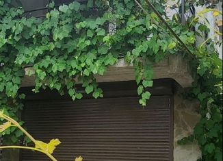 Сдача в аренду коттеджа, 44 м2, Крым, Красноармейский переулок, 1