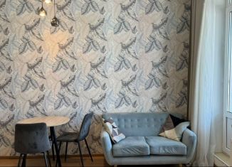 Сдается квартира студия, 26 м2, Санкт-Петербург, Советский проспект, 36к2, ЖК Невские Паруса