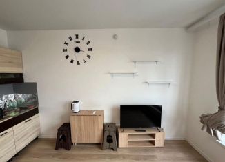 Сдаю в аренду квартиру студию, 20 м2, Котельники, микрорайон Парковый, 1