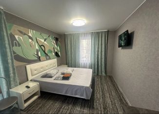 Квартира в аренду студия, 25 м2, Саратов, Рабочая улица, 17А