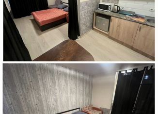 Сдается квартира студия, 25 м2, Саратов, Огородная улица, 157, ЖК Волга