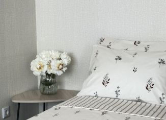 Сдаю в аренду квартиру студию, 31.8 м2, Карелия, улица Победы, 10