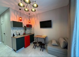 Сдам квартиру студию, 18 м2, Сочи, Ясногорская улица, 16/2 к12, микрорайон Бытха