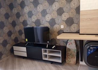 Квартира в аренду студия, 20 м2, Тверская область, улица Сергея Есенина, 11