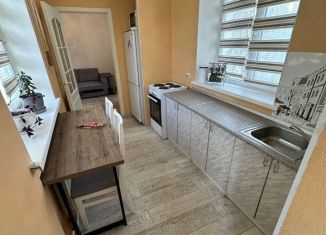 Сдам 1-комнатную квартиру, 25 м2, Екатеринбург, проспект Ленина, 52к1А, метро Геологическая