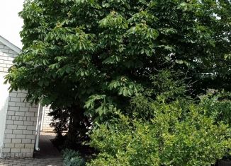 Продажа дома, 267 м2, село Супсех, улица Толстого, 33