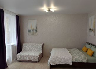 Сдаю квартиру студию, 30 м2, Тюмень, улица Беляева, 35к2, Ленинский округ