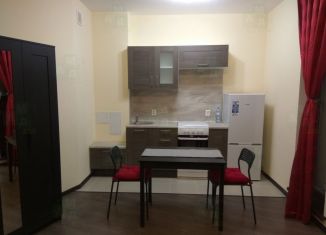 Сдаю в аренду квартиру студию, 27.6 м2, Мурино, бульвар Менделеева, 4