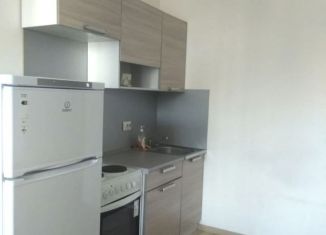 Квартира в аренду студия, 25 м2, Мурино, бульвар Менделеева, 3