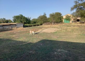 Продается дом, 54 м2, село Арзгир, улица Орлова, 28