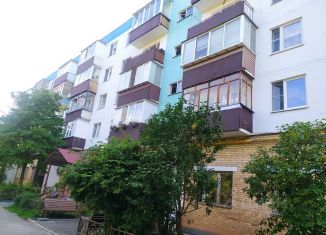 Двухкомнатная квартира на продажу, 55 м2, деревня Хлюпино, Заводская улица, 26