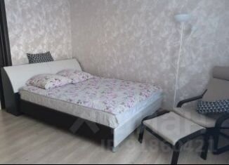 1-комнатная квартира в аренду, 40 м2, село Дивеево, улица Шалашкова, 56
