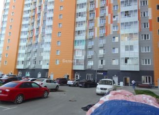 Продается однокомнатная квартира, 25.6 м2, рабочий посёлок Андреевка, Клубная улица, 38А