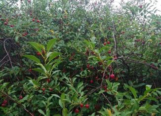 Дача на продажу, 20 м2, СДТ Крутецкие Сады